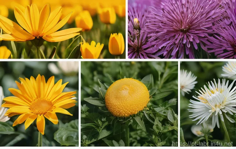 노무사로서의 성과와 과제 - Here are three detailed English image prompts: